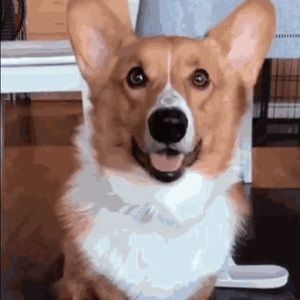 Meet your Posher, Giselle